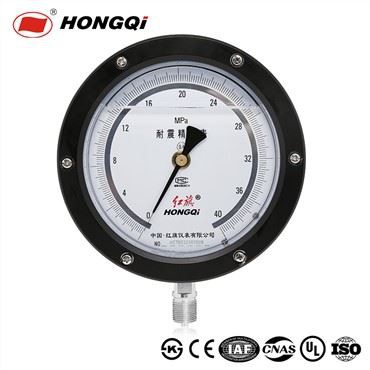 Odporny na wibracje dolny/tylny uchwyt Wysokoucełowy manometr M20 *1,5,G1/2'',1/2'' NPT ± 0,25/0,4% Dokładność