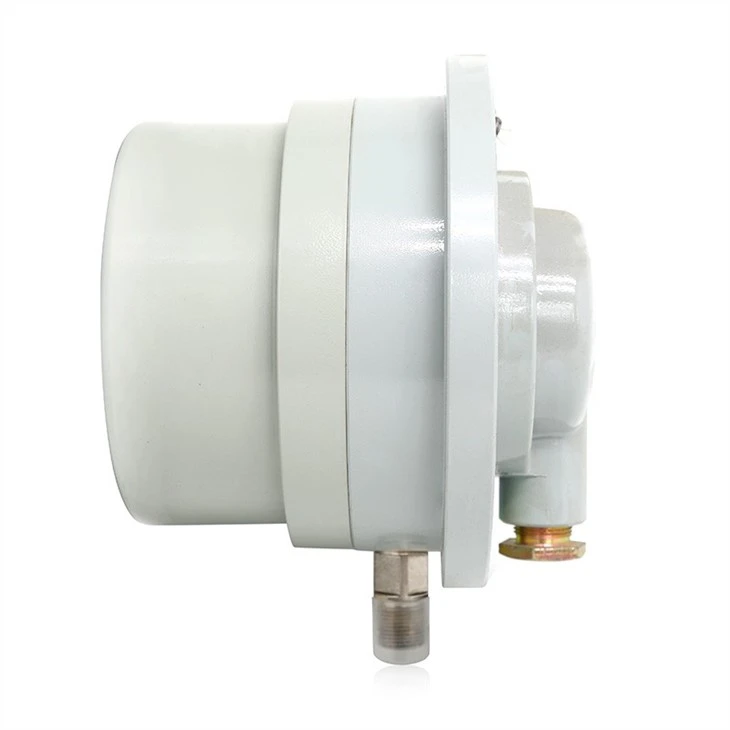 Panel Mount Shockproof Manometer With Flange 160mm